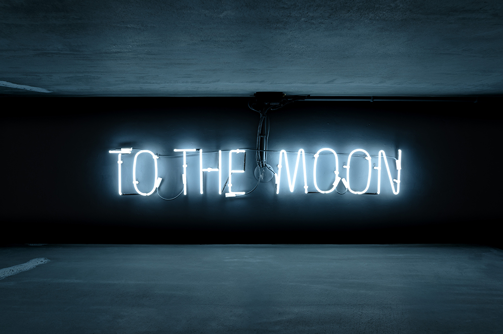 老宅新生成藝術秘境！內湖「伊日後樂園BACK_Y」雙展亮相、戶外植栽打造詩意庭園