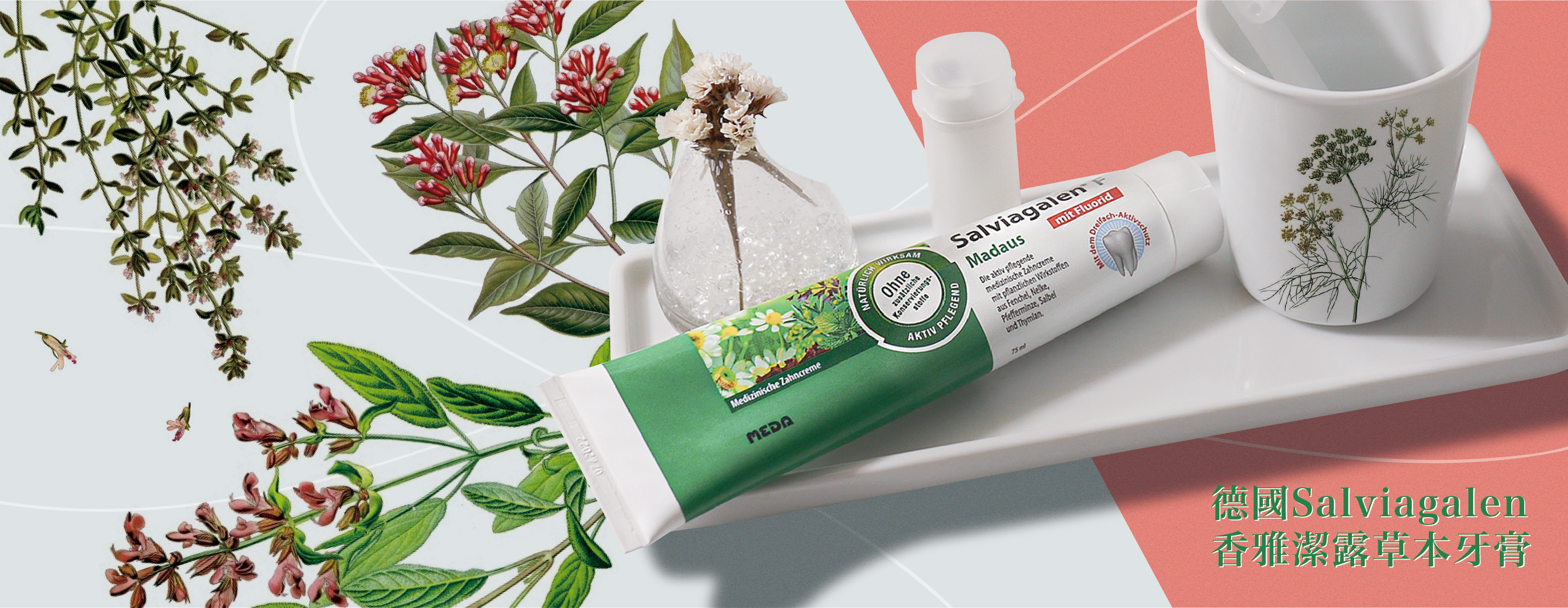 從選一條牙膏開始，好好照顧自己，德國 Salviagalen 香雅潔露草本牙膏