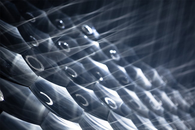 異形降臨地球？Light Barrier 以光影闡述生命議題