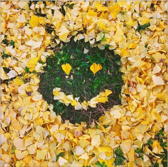 灑掃工作的詩意，日本人將秋天落葉變更浪漫了！