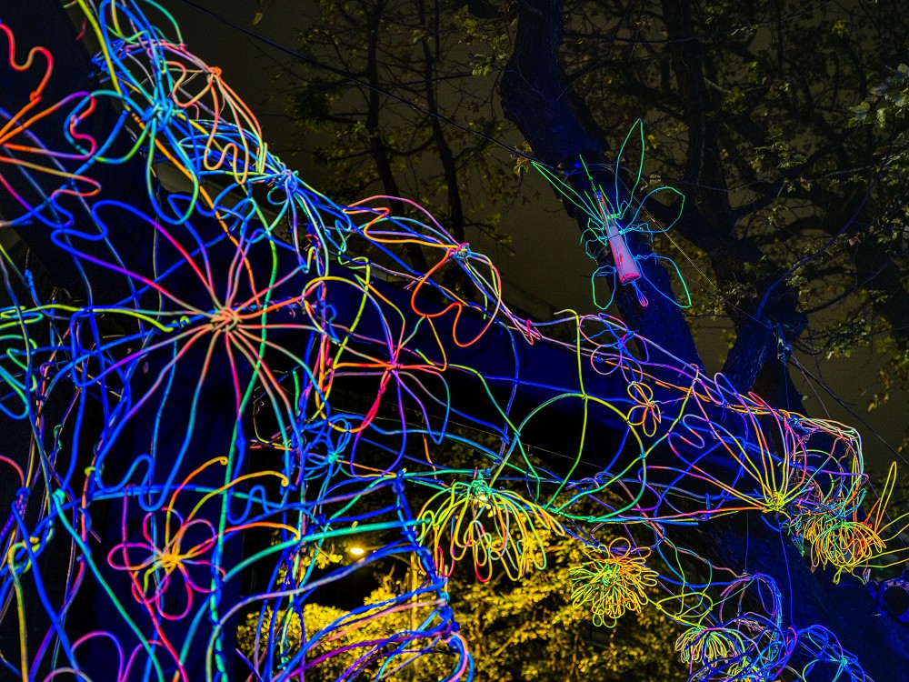 2023台灣燈會「光展區」亮點！兔子洞、光兔、彩虹教堂等16組作品點亮台北東區