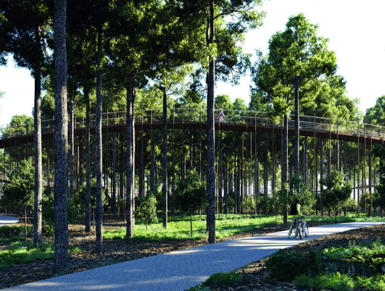 荷蘭「自行車建築雙年展」精選:穿越水間直行、環繞森林直上、橫越空中......任你騎!
