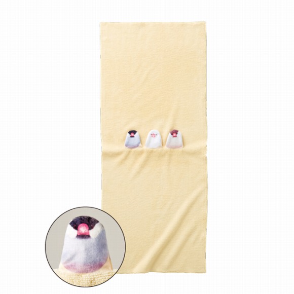 日本療癒小鳥商品三選,增添生活樂趣就靠它們!