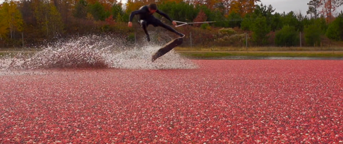 鼻青臉腫的小紅莓 Cranberry Badly beaten face