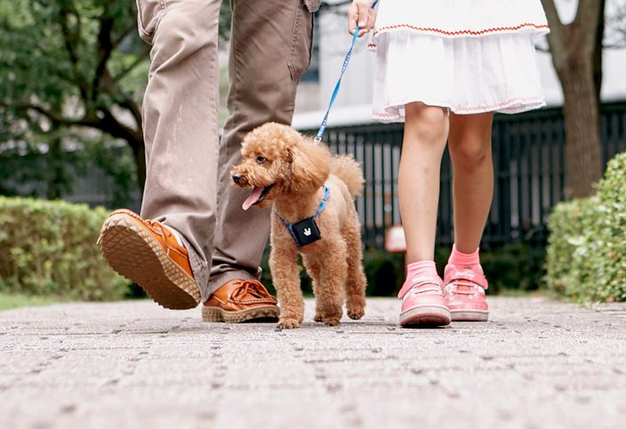 再好動的寶貝都能顧ㄉㄧㄠˊㄉㄧㄠˊ(台),BeLuvv 聰明防走失配件