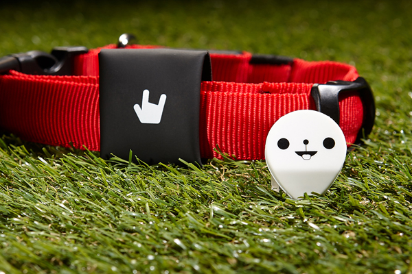 再好動的寶貝都能顧ㄉㄧㄠˊㄉㄧㄠˊ(台)，BeLuvv 聰明防走失配件