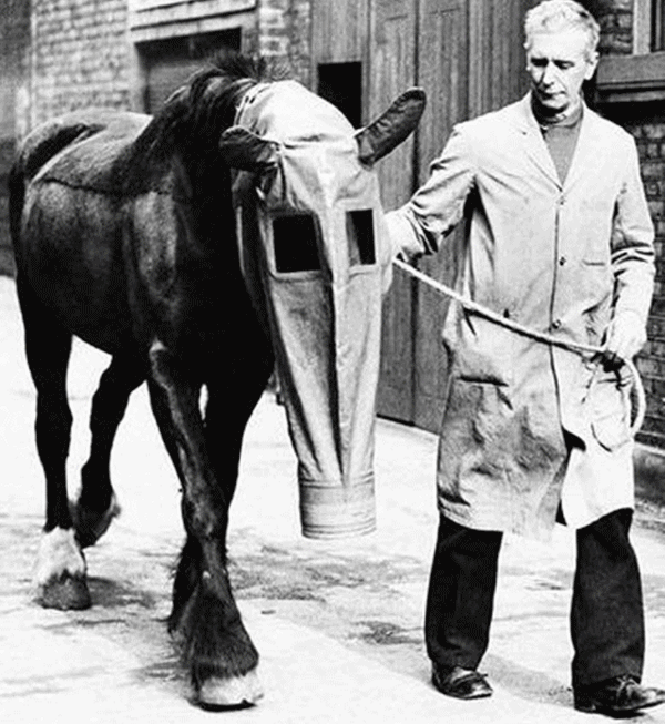 過去的就讓它過去吧…，從前難以理解的怪異發明們