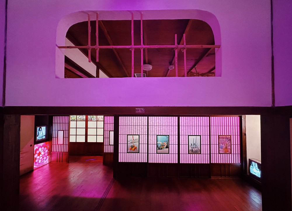 2023浪漫台三線藝術季亮點!巨型穿山甲、石虎雕塑20+藝術裝置、設計作品