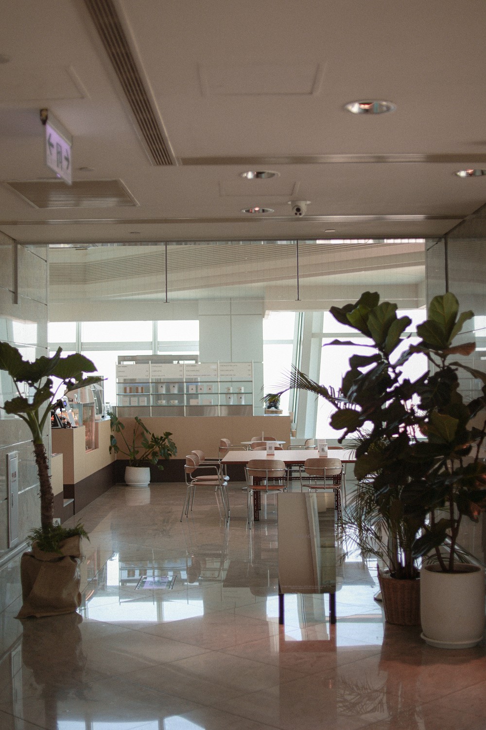 CAFE ACME台北101店開幕！35樓高空mini店型享用早午餐、限定餐盒等亮點