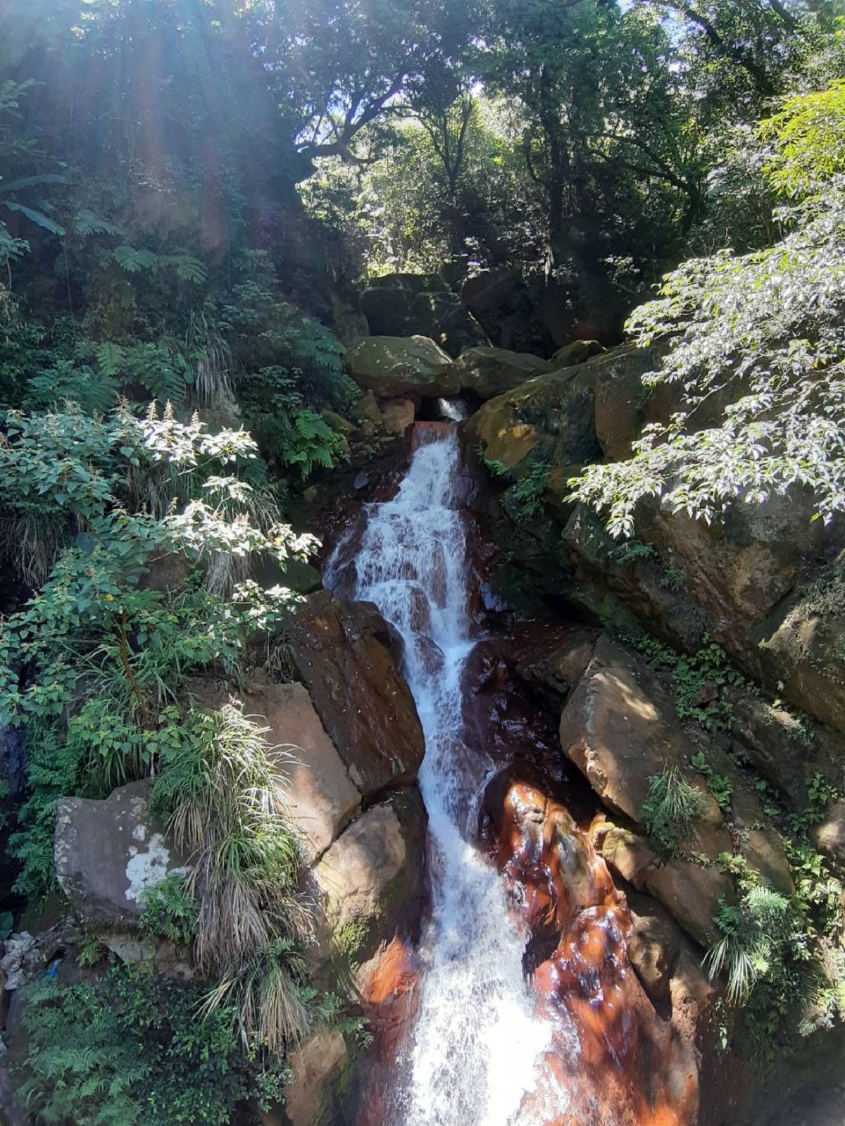 2021打開台北亮點！走進台北表演藝術中心、藍寶石秘境陽明湧泉等90個空間