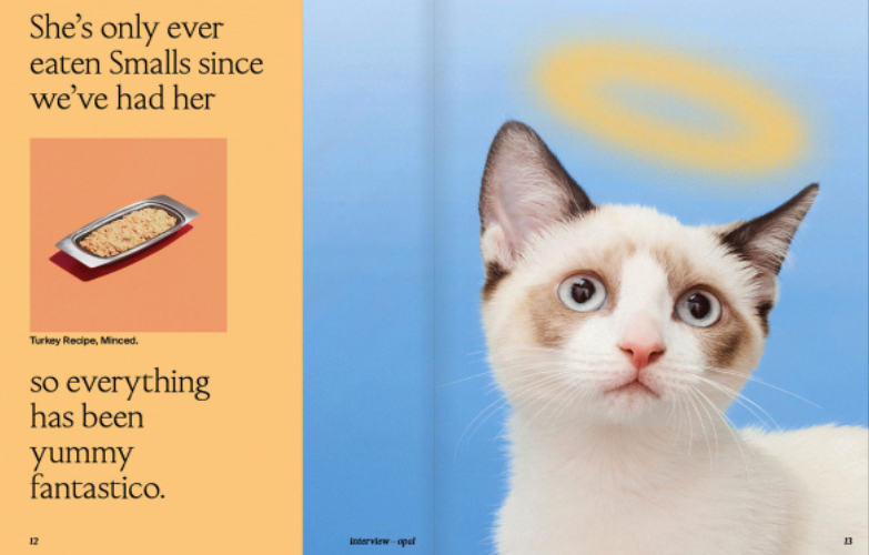 結合肢體動作、尾巴弧度表現的「喵字體」！貓奴們從字母就可以知道主子在想什麼了