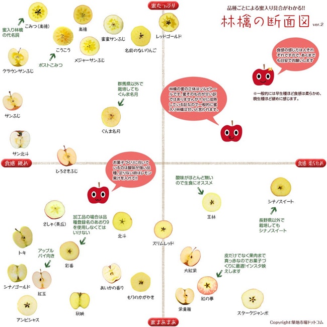 日本最近流行水果家系圖？築地市場超貼心水果品種介紹圖
