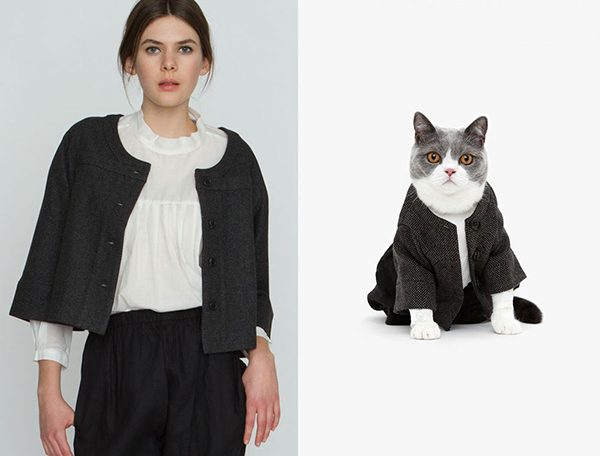 追求時尚不再只是人的專利，貓咪也要很Fashion - United Bamboo