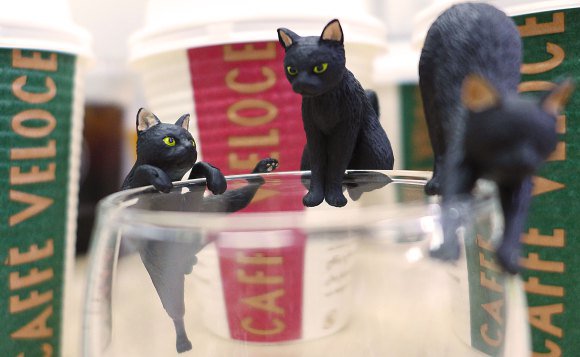 絕對秒殺，日本咖啡店推出兌換黑貓公仔活動