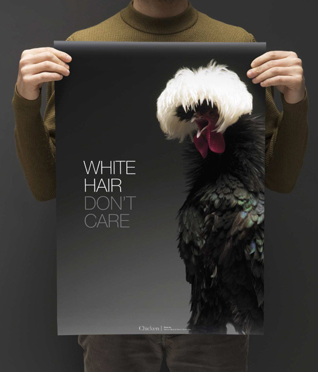 最時尚的雞來了！米蘭團隊籌拍性感美雞攝影集，千姿百態都迷人