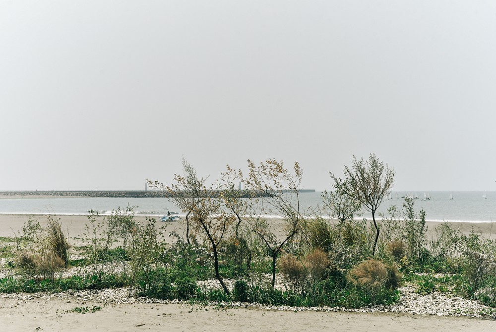 台南「2023漁光島藝術節」雙策展！14件作品探索專屬漁光島的藝術與生活