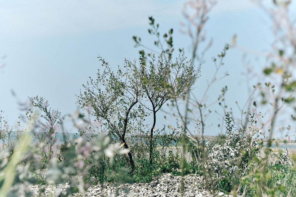 台南「2023漁光島藝術節」雙策展！14件作品探索專屬漁光島的藝術與生活