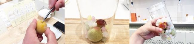 NEW OPEN！來京都「蝶矢」梅體驗專門店製作屬於自己獨一無二的梅酒吧