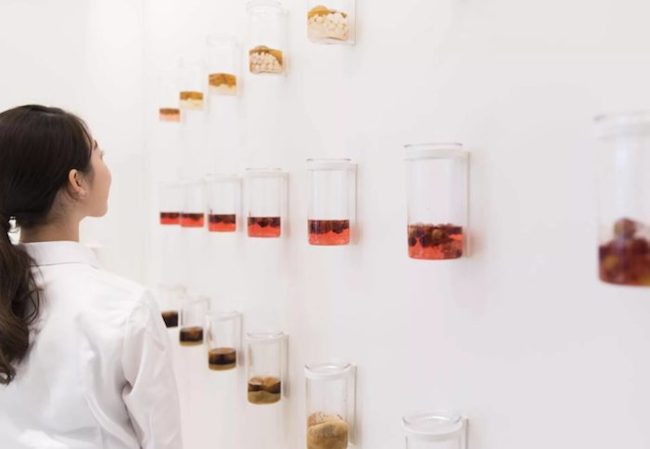 NEW OPEN！來京都「蝶矢」梅體驗專門店製作屬於自己獨一無二的梅酒吧