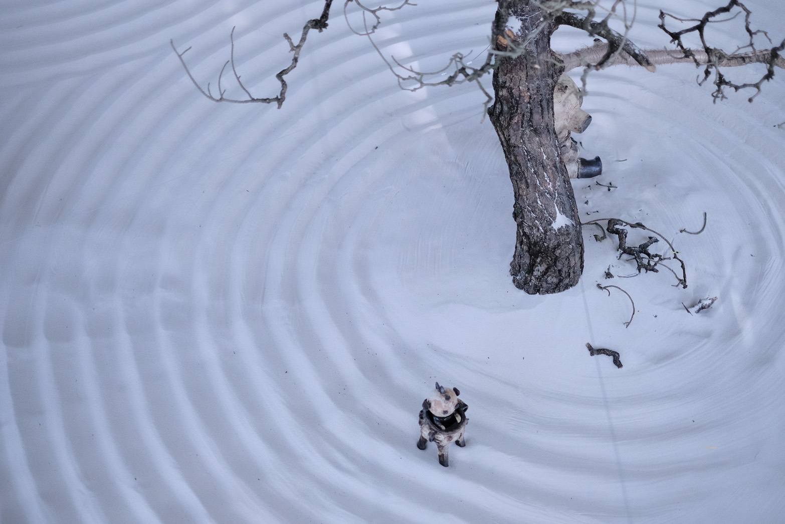 屏東看海美術館《春江獸月夜》！台灣藝術家阿咧打造14公尺怪獸氣球、超萌雕塑