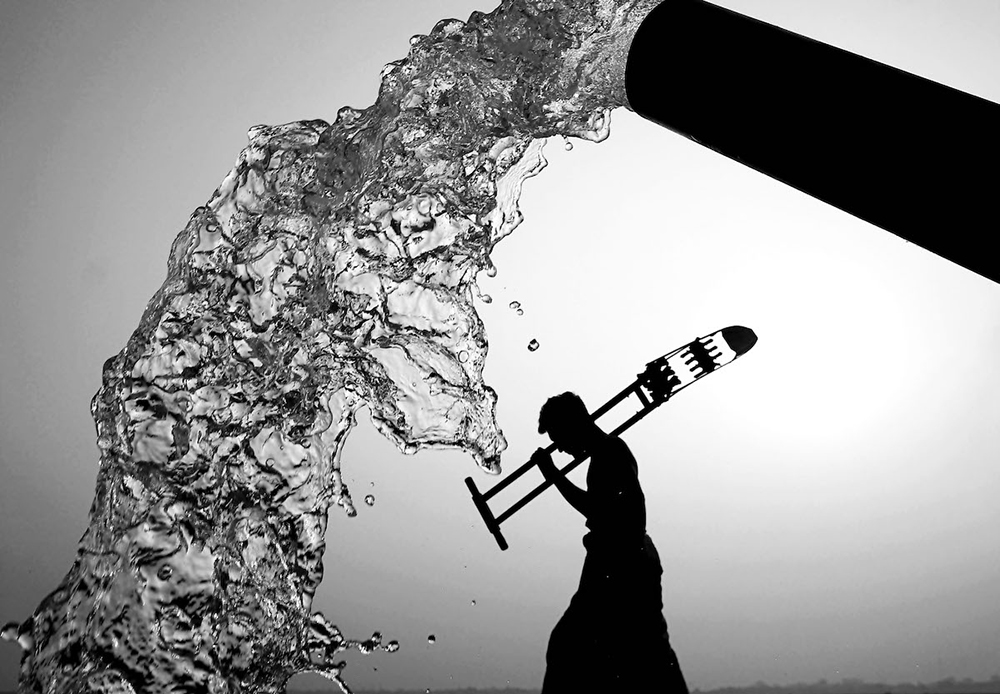 2021大自然保護協會攝影大賽結果出爐!首獎「蝴蝶群中的大猩猩」等24件佳作一展自然中的精彩瞬間