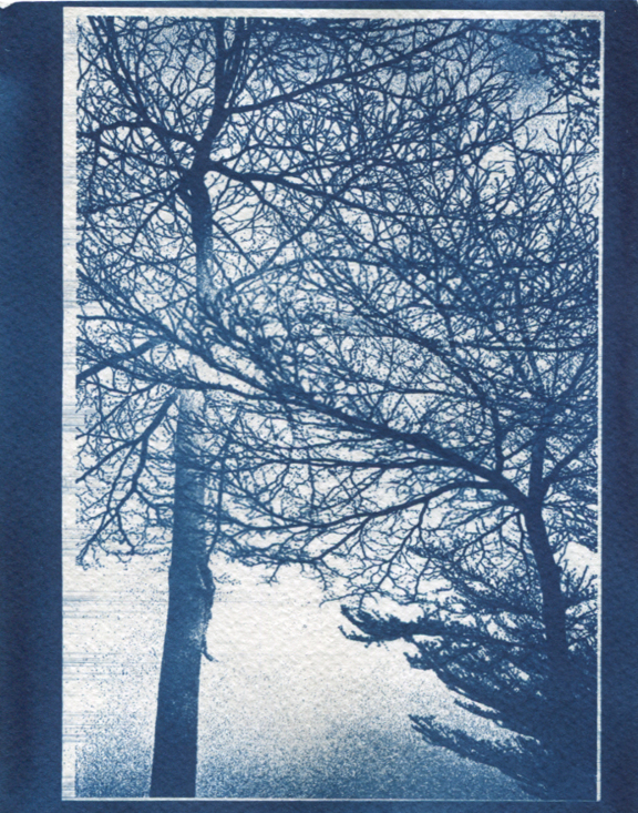 【Lomo好時光】秘技!有趣的氰版顯影製作教學