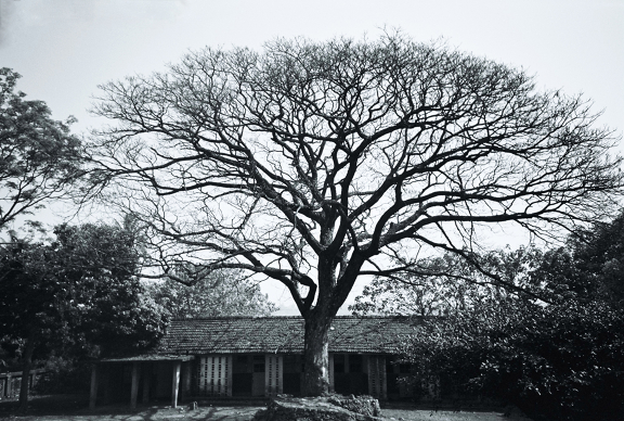 【Lomo好時光】秘技!有趣的氰版顯影製作教學