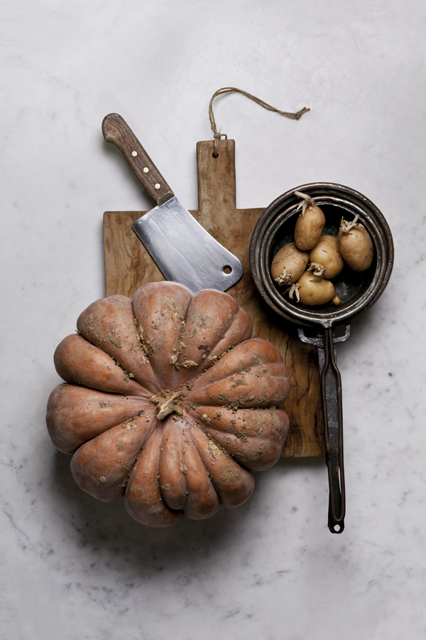 沒有人的肖像照？耐人尋味的全家福照片