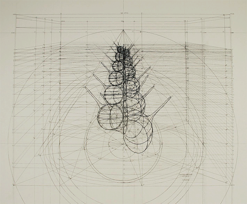 療癒黃金比例著色本！藝術家Rafael Araujo手繪蝴蝶飛舞、鸚鵡螺等自然數學之美
