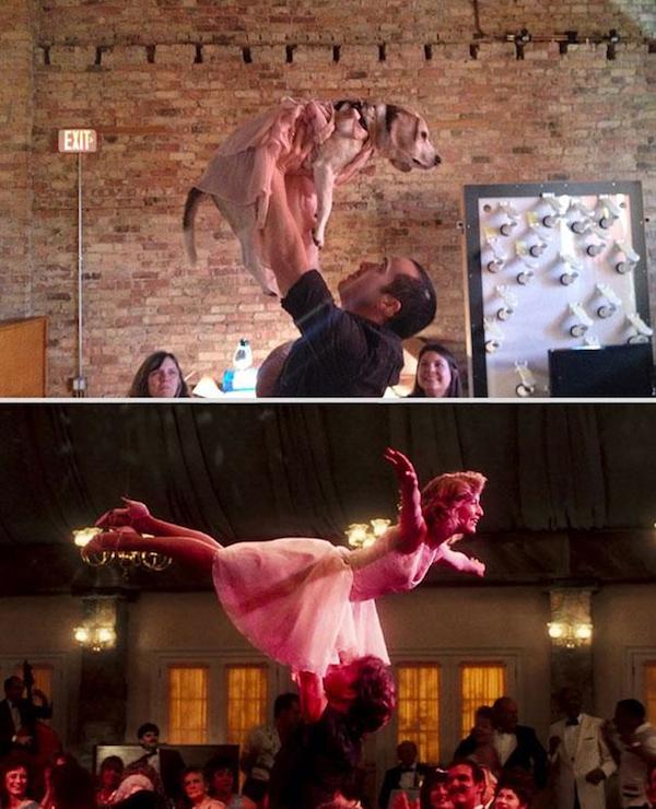 一人一狗領銜主演！讓人笑開懷的電影劇照仿拍～