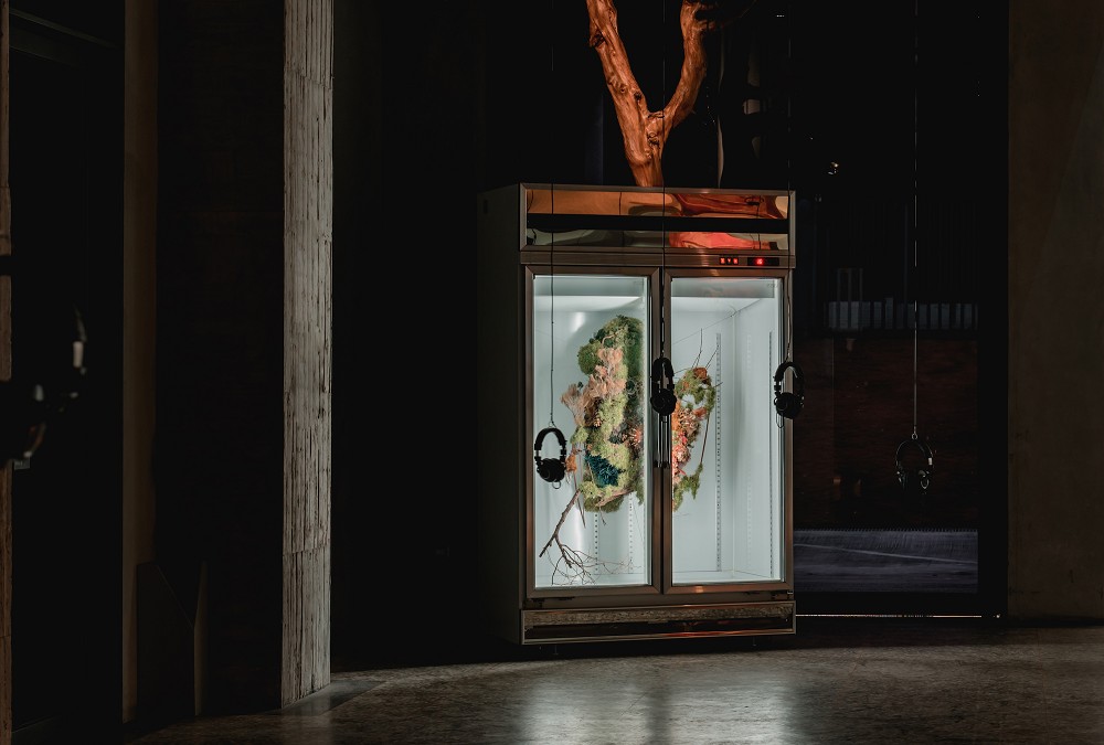 2022「小花計畫」高雄金馬賓館登場!11組音樂藝術創作詮釋小花盛開的回音