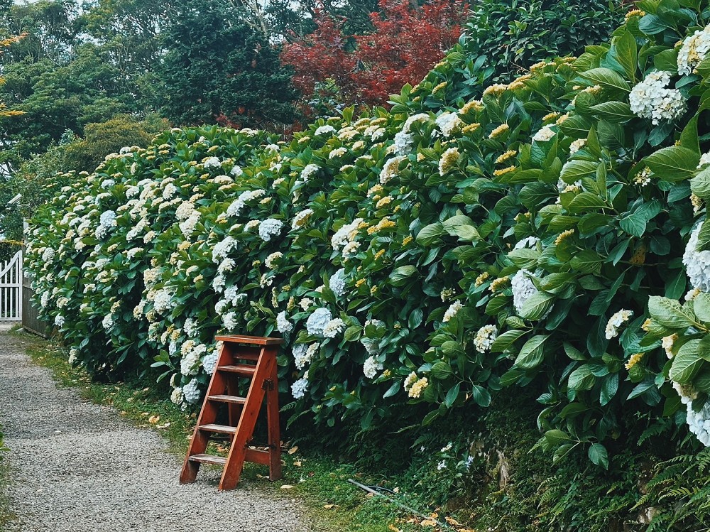 T22北投綠色農場見學改造!3家農場設計改造、4款北投宴禮盒打造農業永續經營