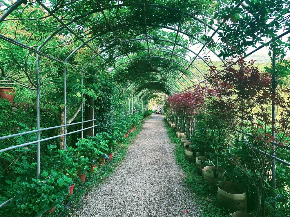 T22北投綠色農場見學改造!3家農場設計改造、4款北投宴禮盒打造農業永續經營