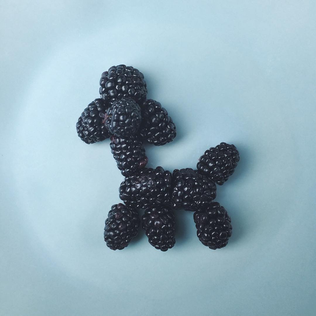 逃不出行事曆的魔掌嗎？學習 Brock Davis 的日常小幽默吧！