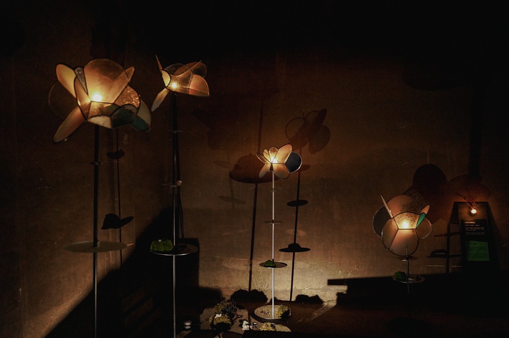 台北觀音蓄水池《獵島計畫》亮點！藍眼淚、化石紙雕等13組作品打造地下奇幻展覽