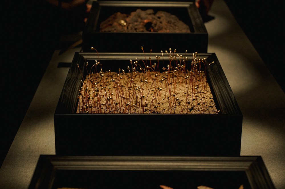 台北觀音蓄水池《獵島計畫》亮點！藍眼淚、化石紙雕等13組作品打造地下奇幻展覽