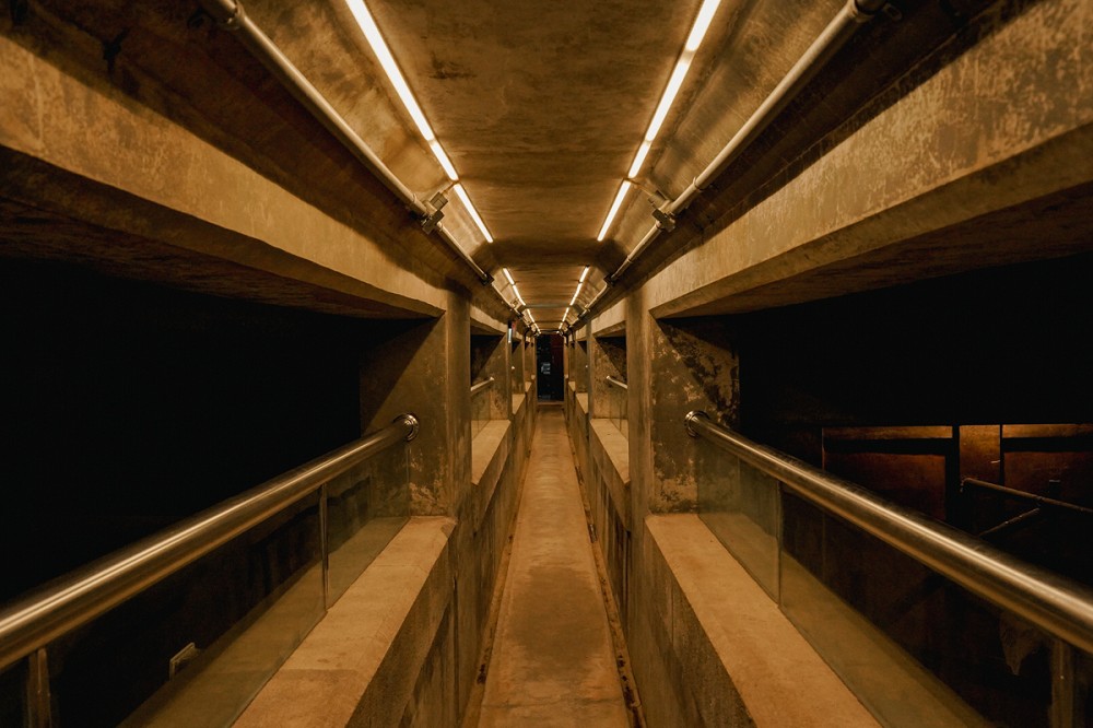 台北觀音蓄水池《獵島計畫》亮點！藍眼淚、化石紙雕等13組作品打造地下奇幻展覽