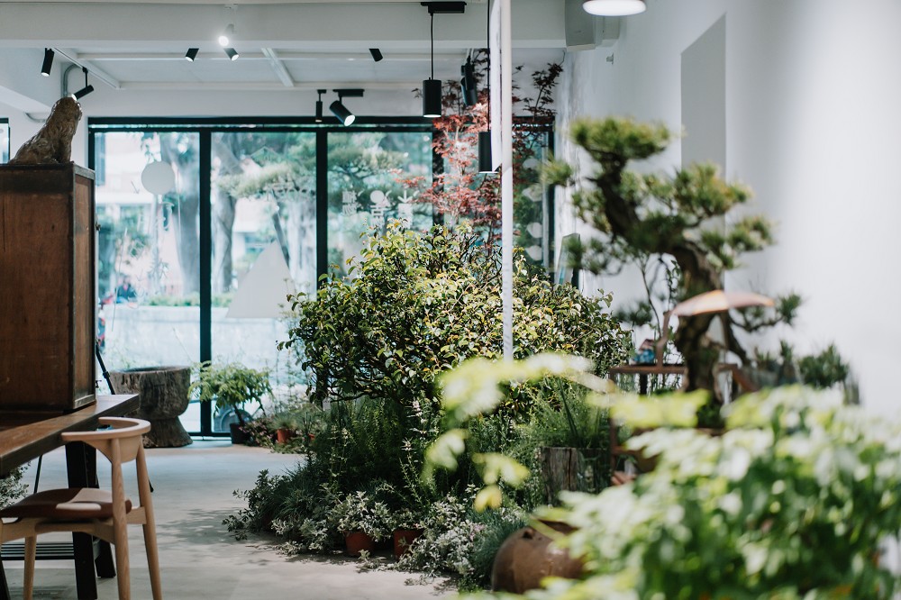 台北森3《日日森》如森林般的展覽！結合植物、日系古物、咖啡和市集的風格空間