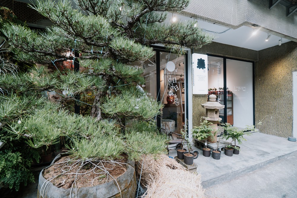台北森3《日日森》如森林般的展覽！結合植物、日系古物、咖啡和市集的風格空間