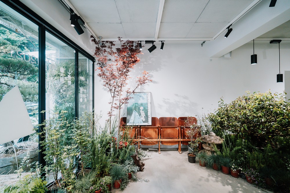 台北森3《日日森》如森林般的展覽！結合植物、日系古物、咖啡和市集的風格空間