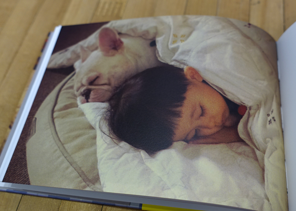 【閱讀書摘】日本小男孩與法鬥的日常生活集『有你真好』