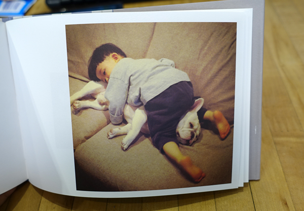 【閱讀書摘】日本小男孩與法鬥的日常生活集『有你真好』