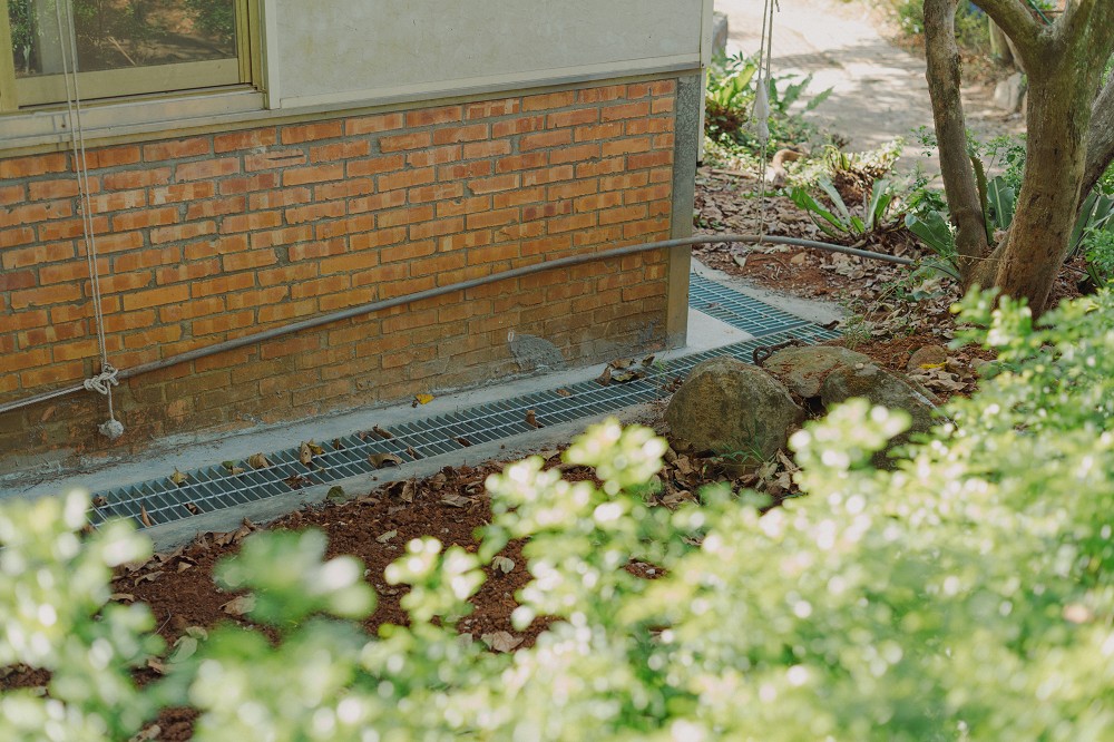 T22北投綠色農場見學改造!3家農場設計改造、4款北投宴禮盒打造農業永續經營