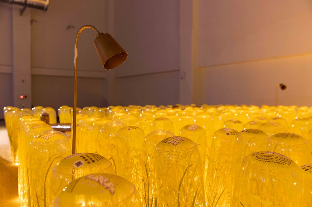 2023世界客家博覽會在桃園！台灣館呈現14縣市「有客當靚」在地多元客家文化