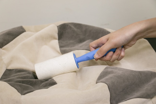 日日睡好覺！eterno 寵物懶骨頭，讓貓咪睡成一團懶球的秘密是？