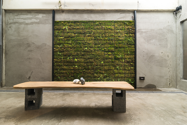 新世代紙舖複合空間！樹火紙博物館新搭檔「FENKO 鳳嬌催化室」初一十五開室！