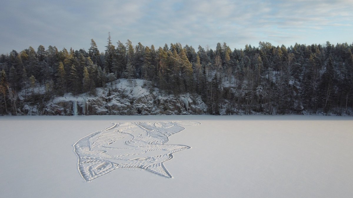 浪漫雪地狐狸畫！芬蘭藝術家Pasi Widgren用白雪畫下冰湖巨幅地景創作