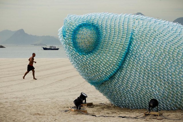 聯合國永續發展大會外的湛藍大魚