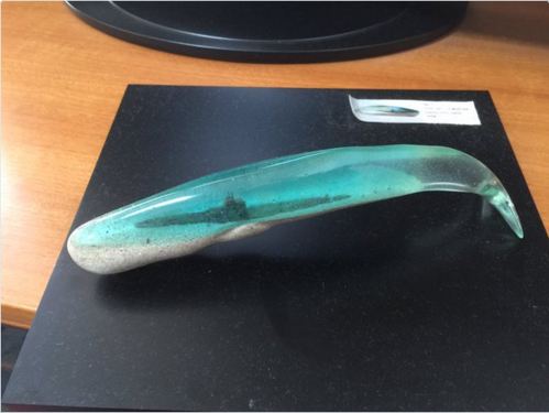 藝術系學生畢業作品，醞釀於海洋中的六道輪迴