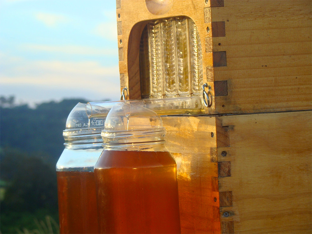 低限度打擾蜜蜂的採蜜方式，Flow Hive 木造小屋